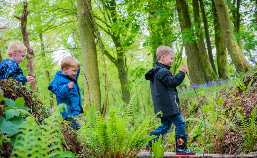 Children walking in the woods