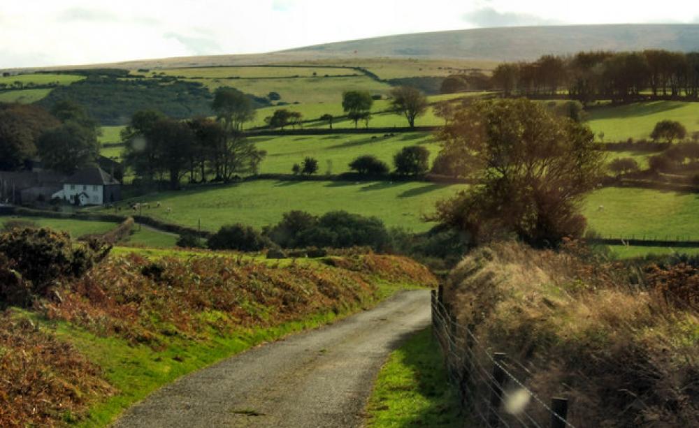 Dartmoor farms