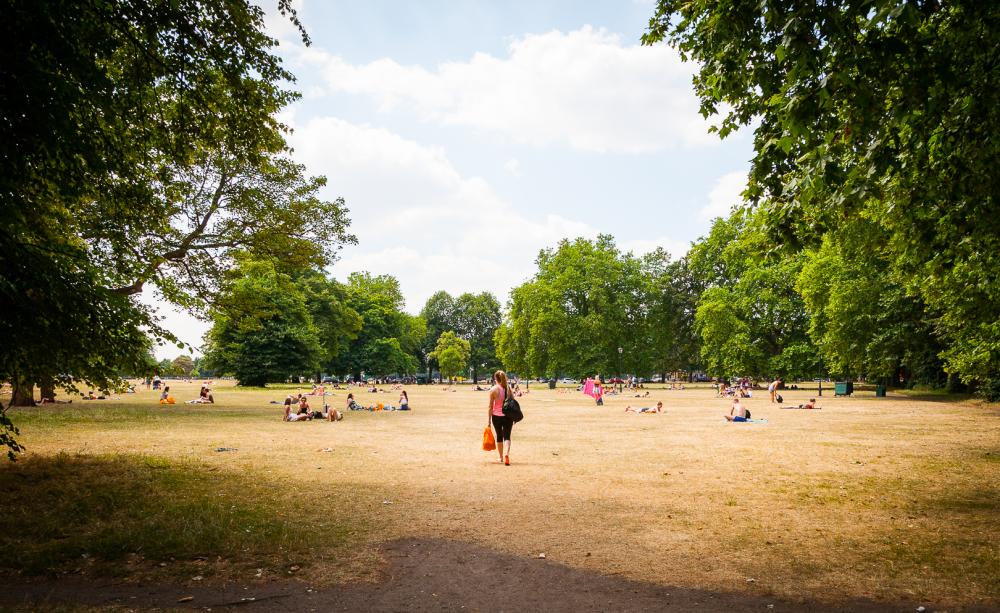 Heatwave