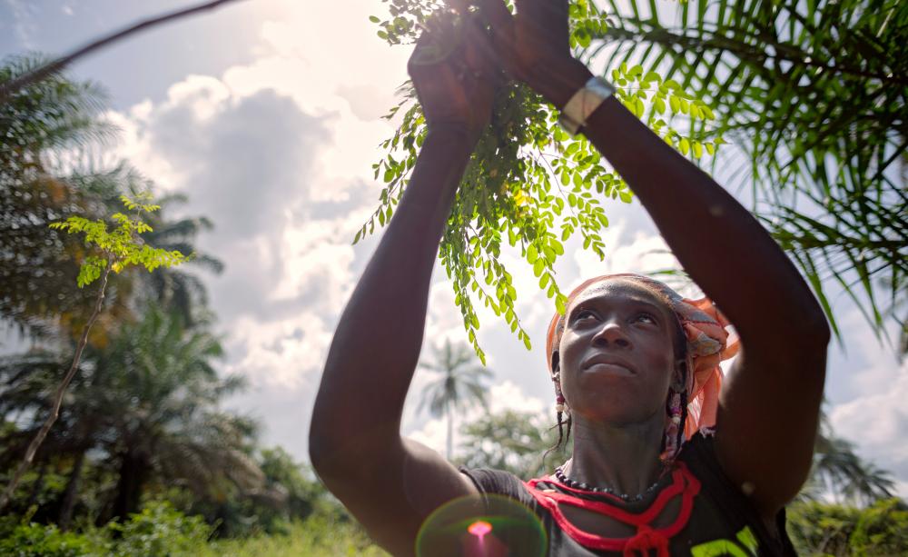 Woman reaching up to a tree