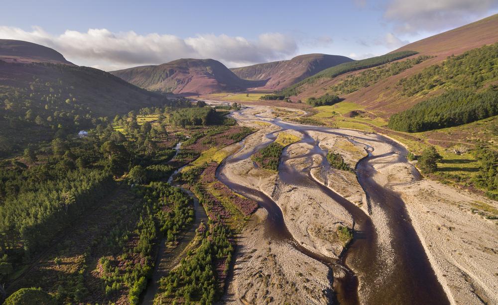 Glenfeshie