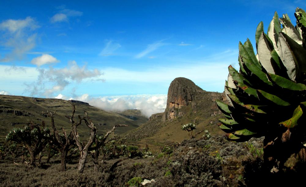 Mount Elgon, Uganda Mount Elgon, Uganda
