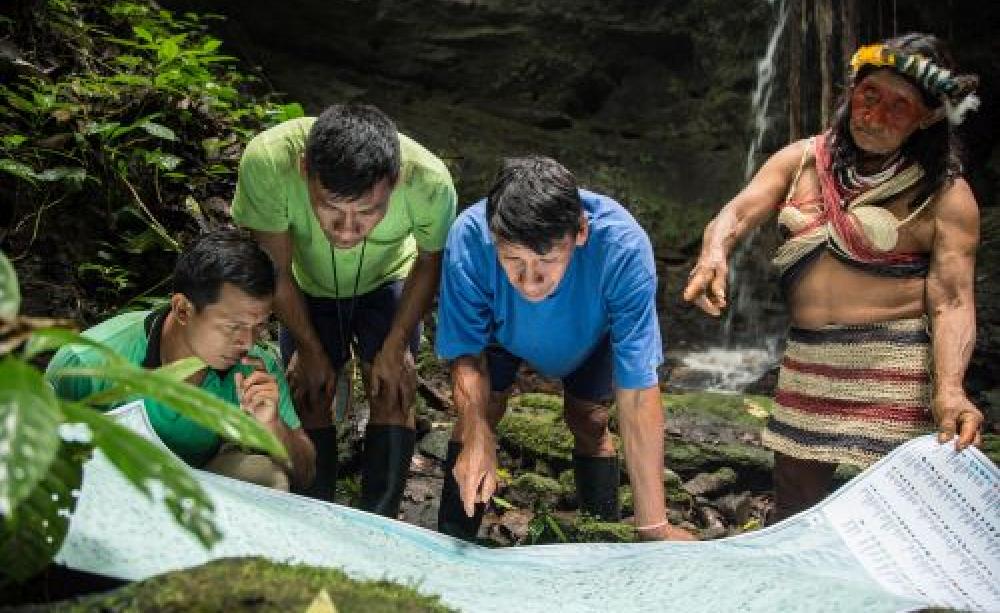 The Ceibo Alliance is a movement helping communities protect their lands