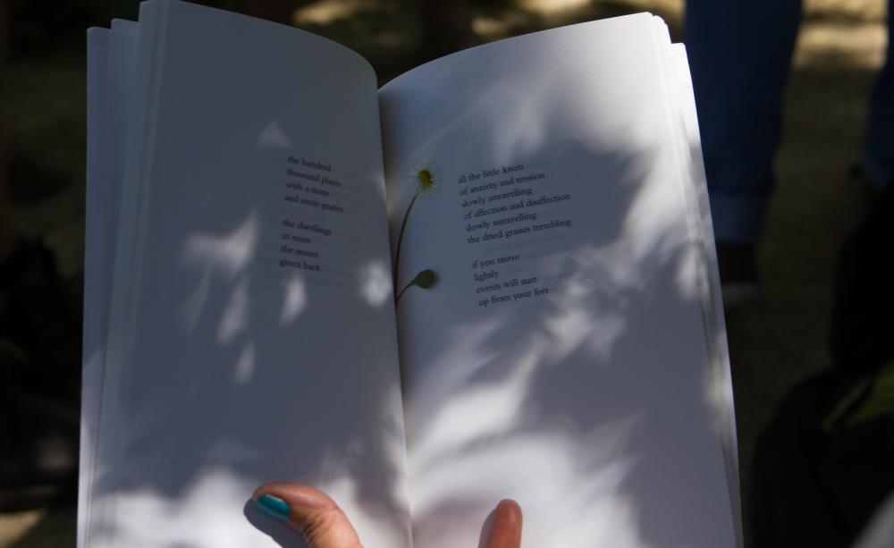 A poetry book being read outside in dappled shade with a flower in the pages.