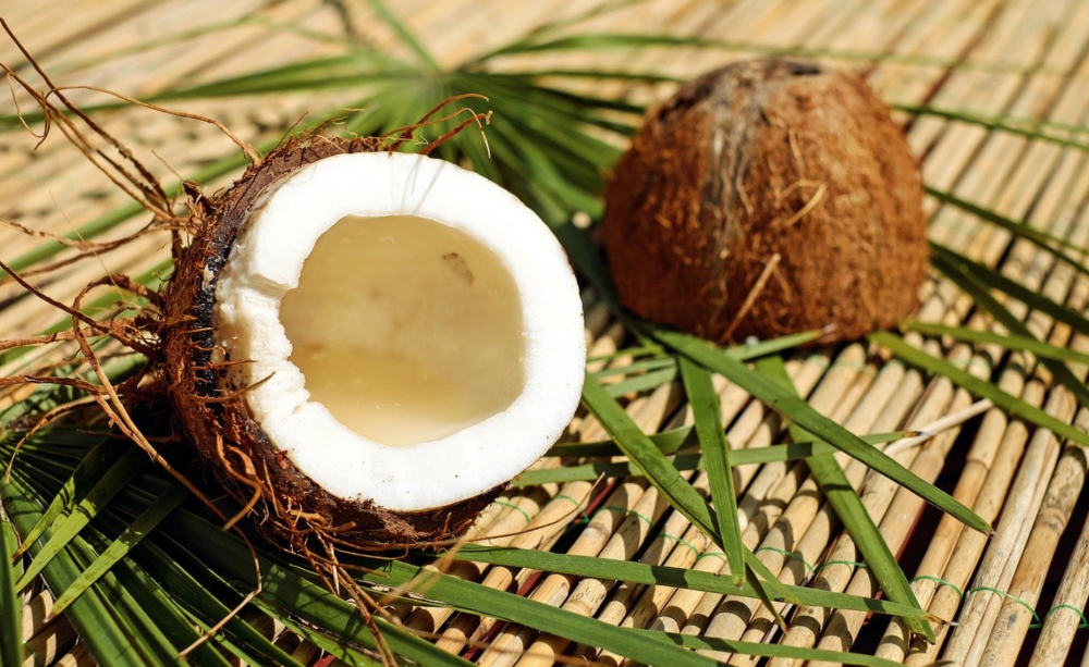 Coconut