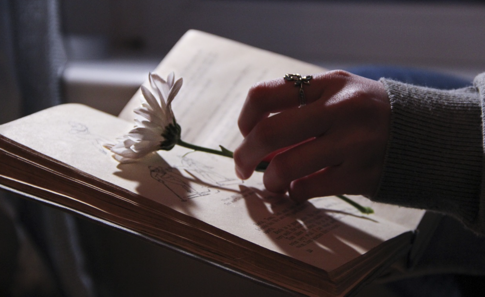 Book and flower