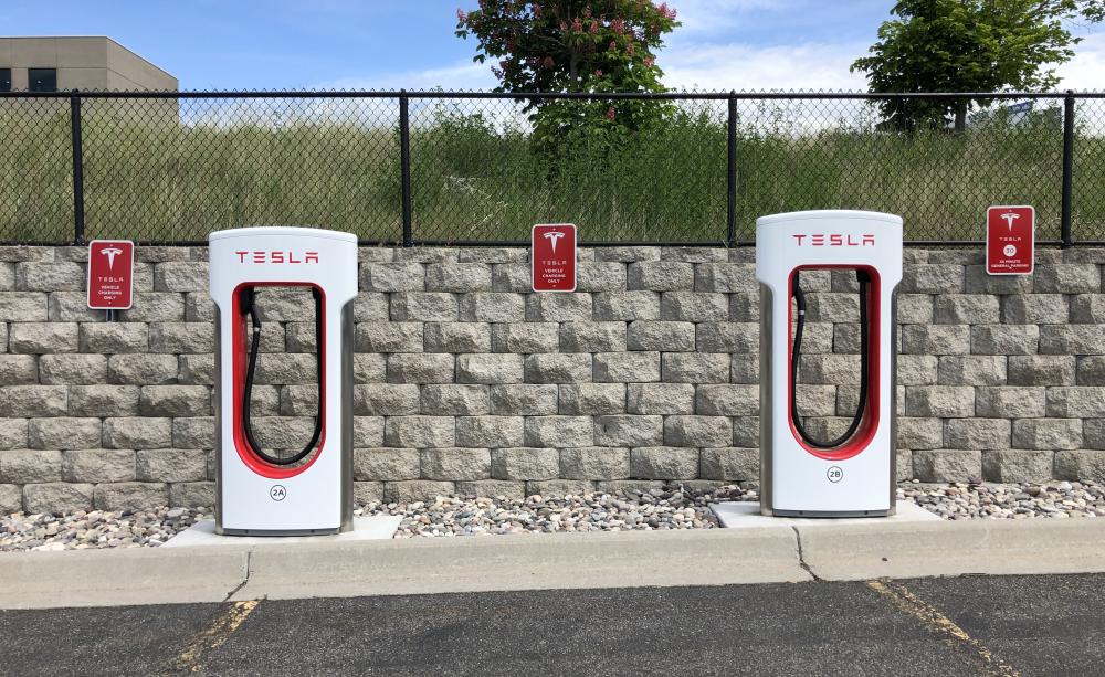 tesla public opinion