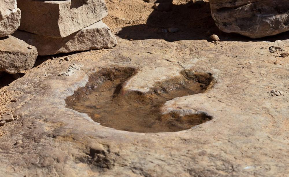 Footprint