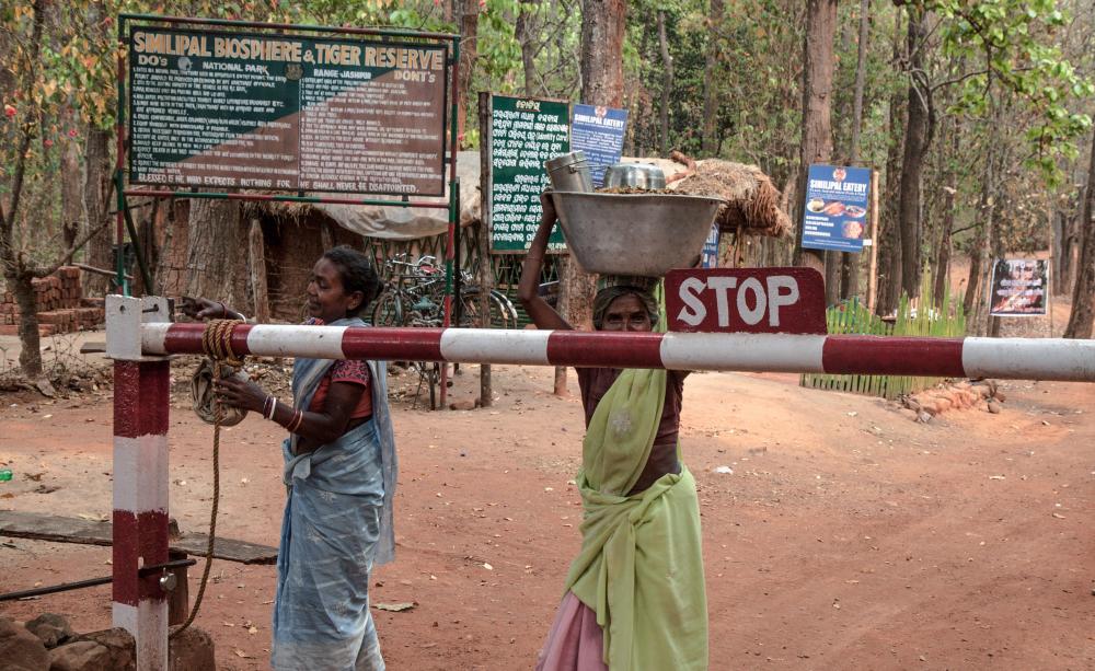 Entry gate of the Simlipal Tiger Reserve, Odisha. May 2017.
