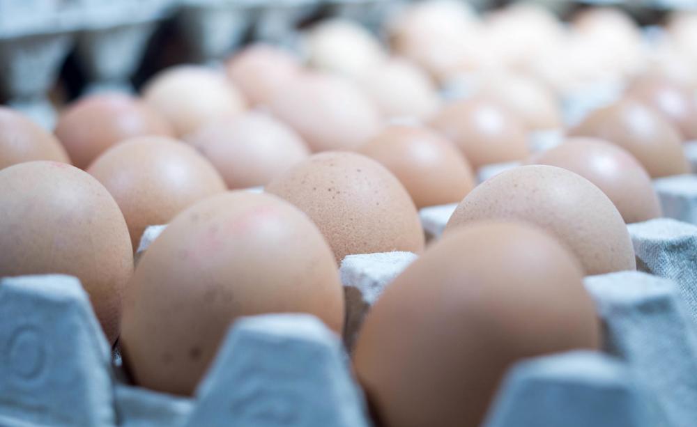 Picture of many eggs