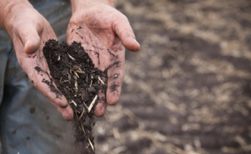 Rich dark soil pouring from hands