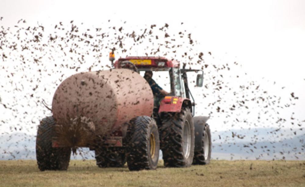muck spreading