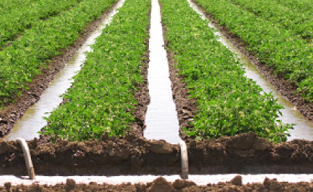 Irrigation