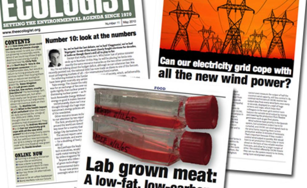 May 2010 newsletter