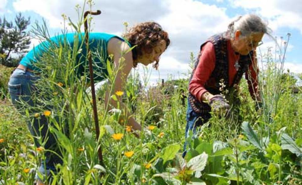 Why working holidays on organic farms help you see the world anew