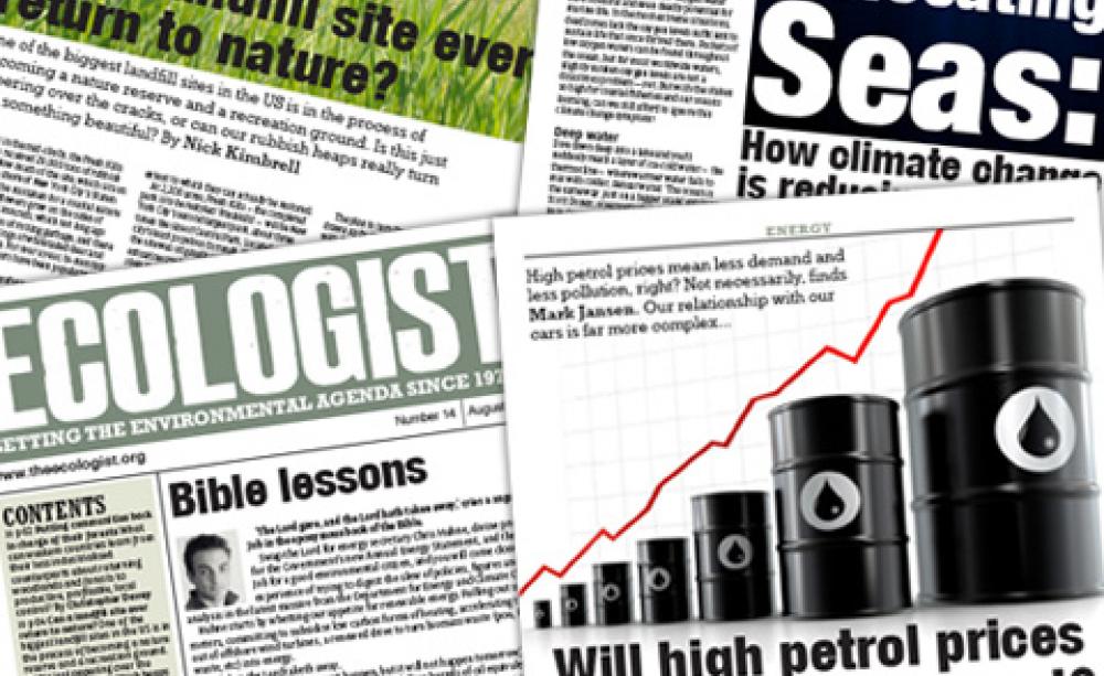 August 2010 newsletter pages