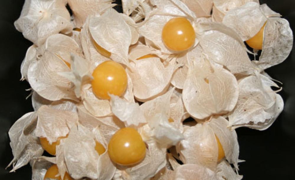 Goldenberries