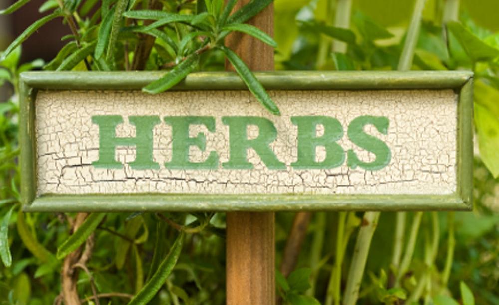 Herbs