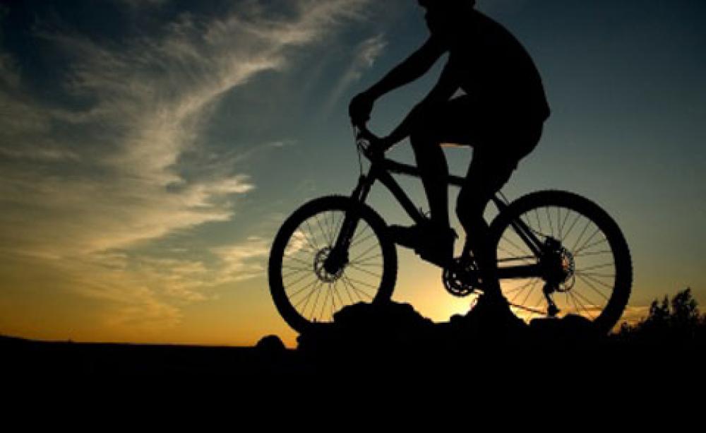 Cycling and the environment