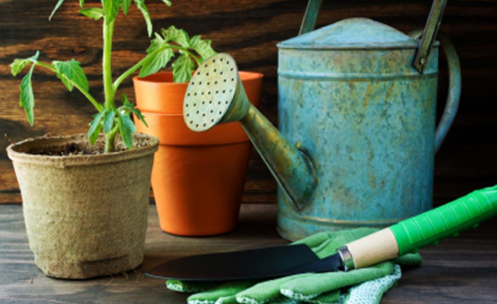 Five of the best…green gardening accessories