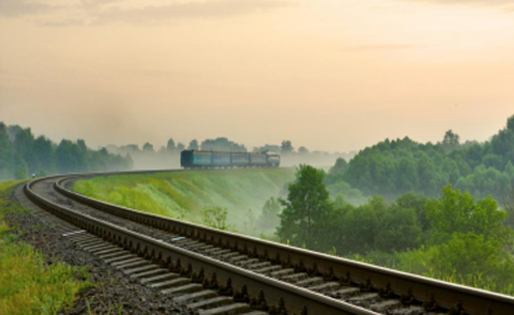 Five ways to make 2012’s family holiday the greenest ever