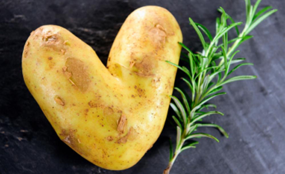 In season now: what to eat in February