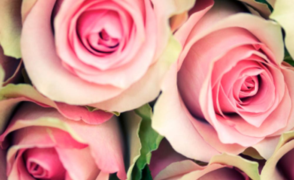 How to… buy cut flowers