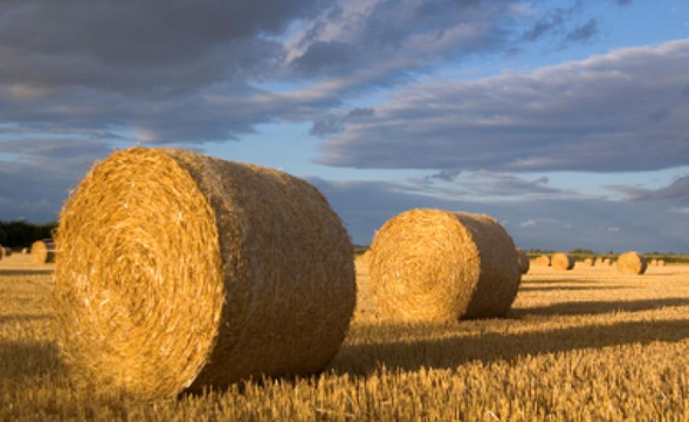 Are Straw Bales The Future Of Sustainable Building