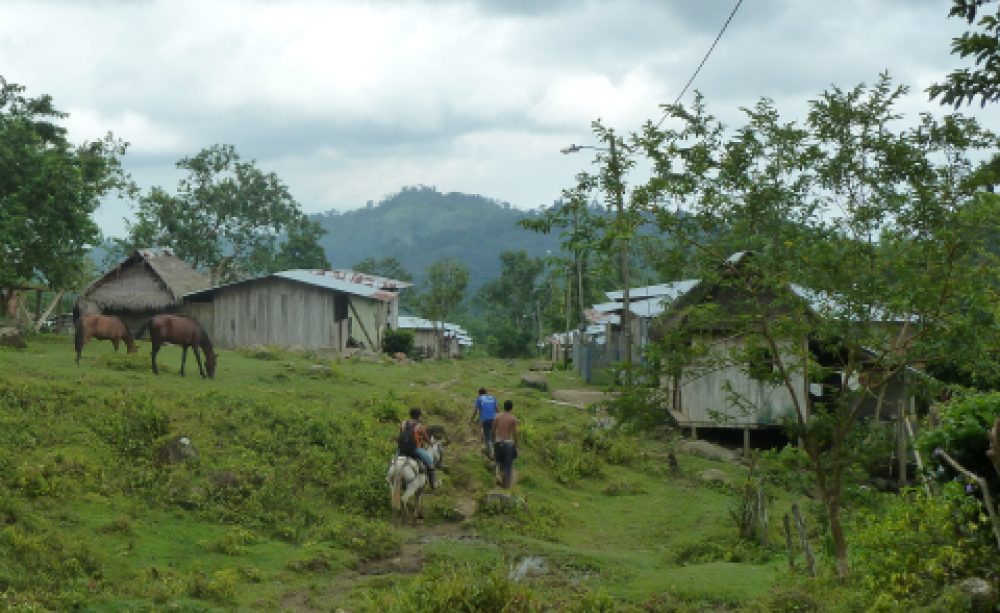 The Peace Community of San José de Apartadó