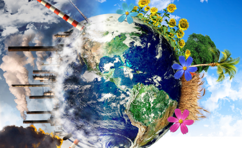 Image courtesy of Shutterstock.com