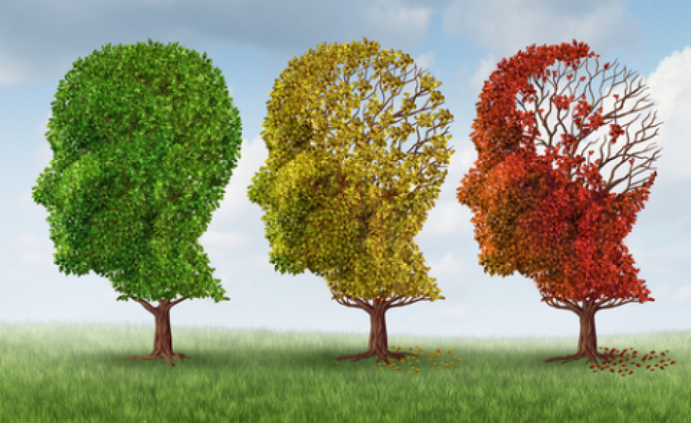 Image: Lightspring / Shutterstock.com.