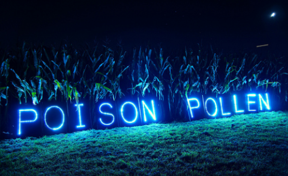 Cornfield message in support march against Monsanto, October 2013. Photo: Light Brigading via Flickr.com.