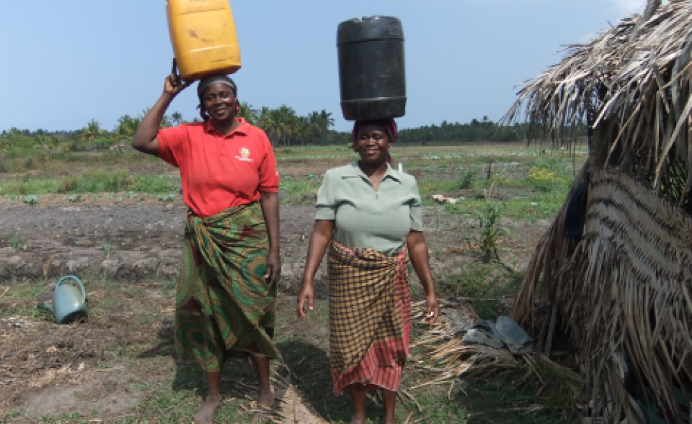 Small-scale farmers in Mozambique - who collectively grow most of Africa's food. Photo:  União Nacional de Camponeses.