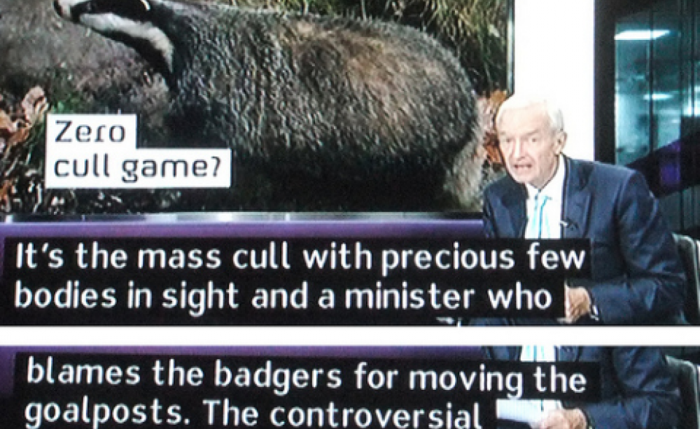 A fiasco. Photo: Gwydion M. Williams via Flickr.com.