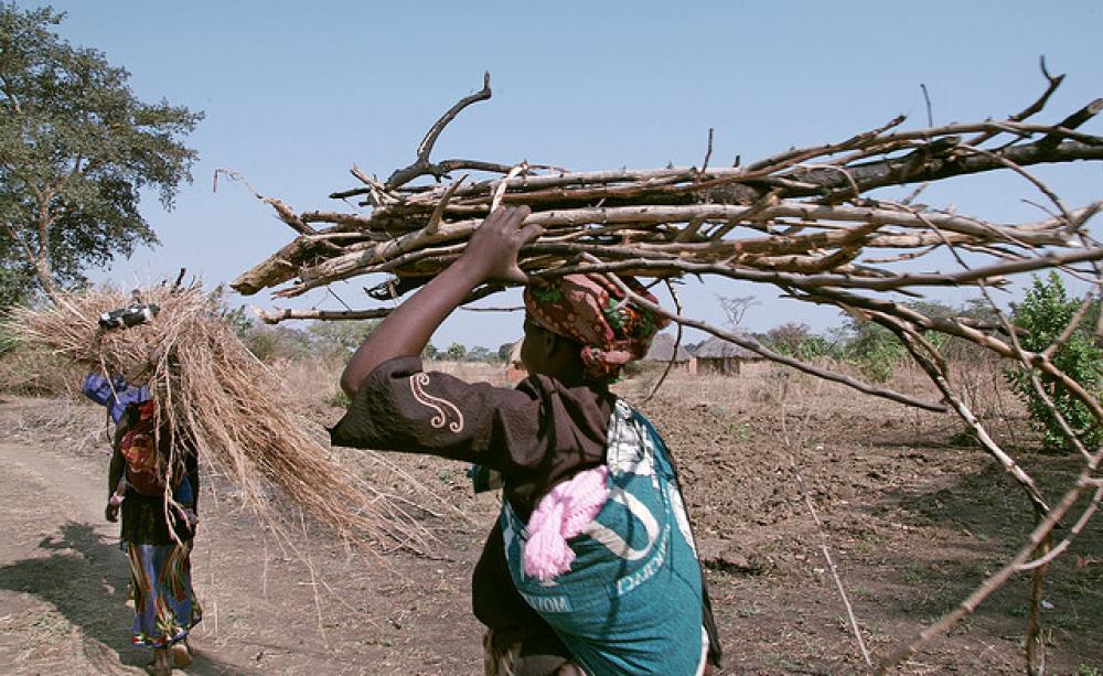 Women in Sudan return to their village after collection firewood. Photo: Margaret W. Nea / Bread for the World via Flickr.com.