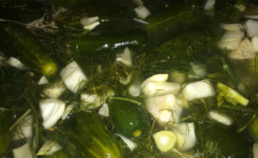 Sour garlic and fennel pickles. Photo: Gary Leybman /  FB Wild Fermentation group.