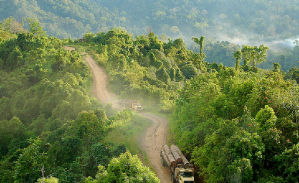 Trucks carrying logs in Gunung Lumut, East Kalimantan, Indonesia. Photo: Jan van der Ploeg for Center for International Forestry Research (www.cifor.org / blog.cifor.org) via Flickr.com.