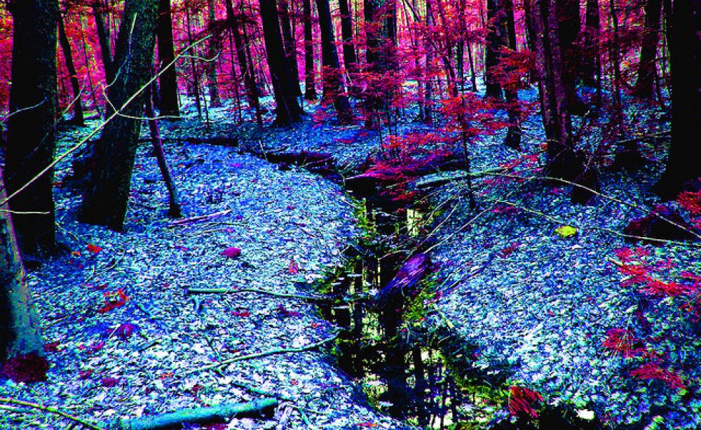 If only it was this easy to see radiation. Strange Land by Russ Seidel via Flickr.com.