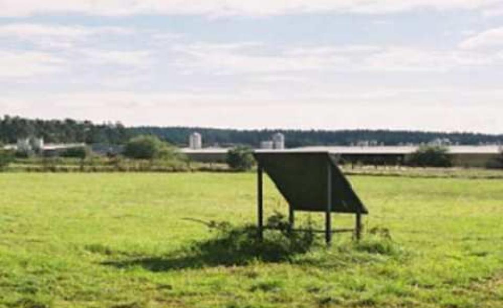 Lety camp - a death camp for Romani people now in the Czech Republic - only has this sign to commemorate those who died. Photo: John Lennon.