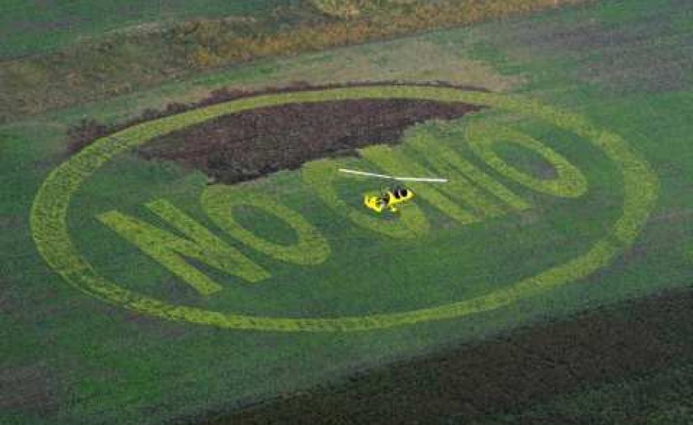 No GMO! Photo: www.gmofreeglobal.org/ .