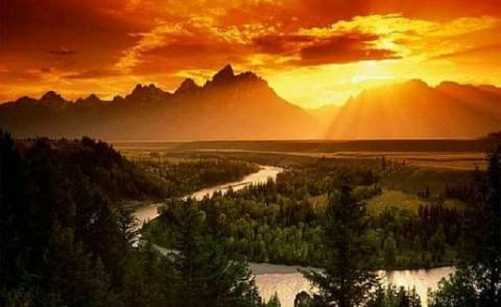 Yasuni National Park. Source: http://www.ecohustler.co.uk/.