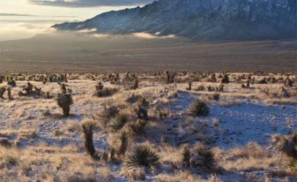 The Organ Mountains of New Mexico, now designated a National Monument. Photo: Bob Wick / BLM California.