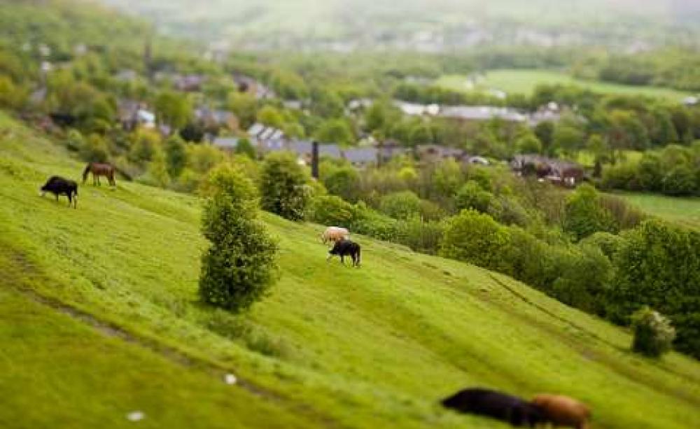 Our green and pleasant land deserves better than this! Photo: Matthew via Flickr.