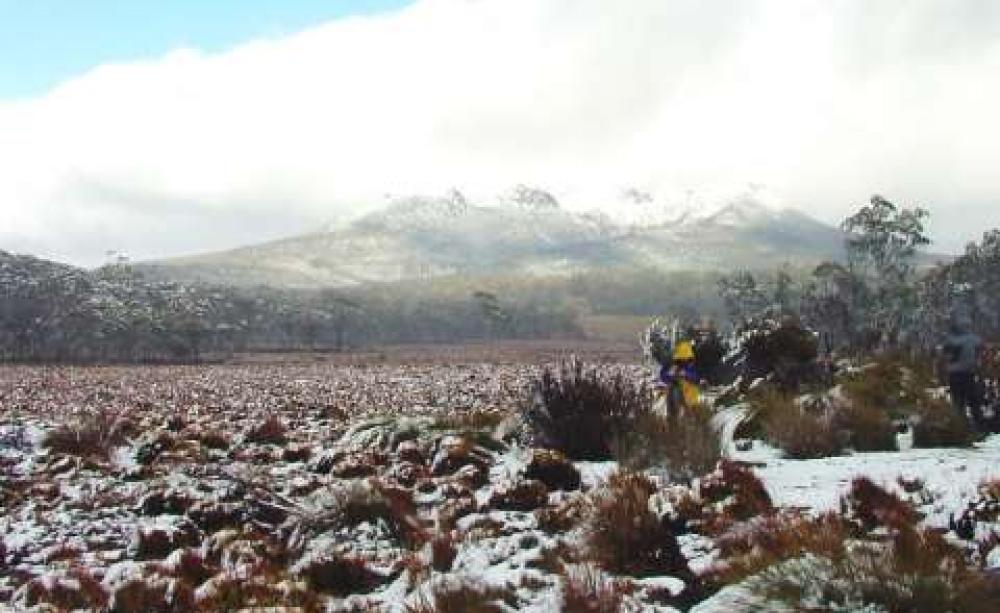The Navarre Plains are one of the areas under debate, and are an important site of glacial geology. Photo: Kevin Kiernan.
