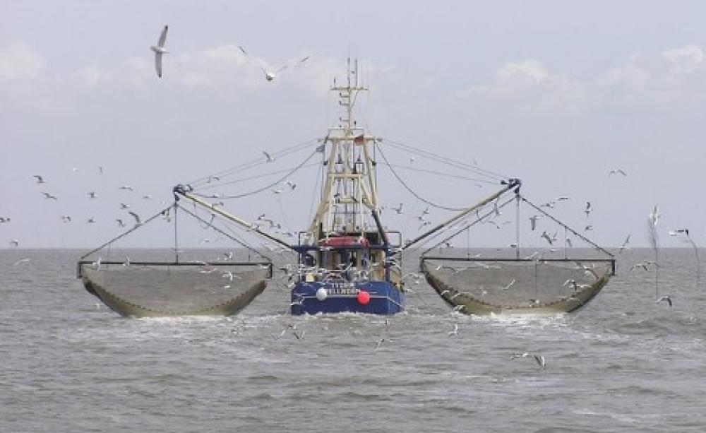 A dragnet that captures too much marine life. Joachim Müllerchen, CC BY-SA.