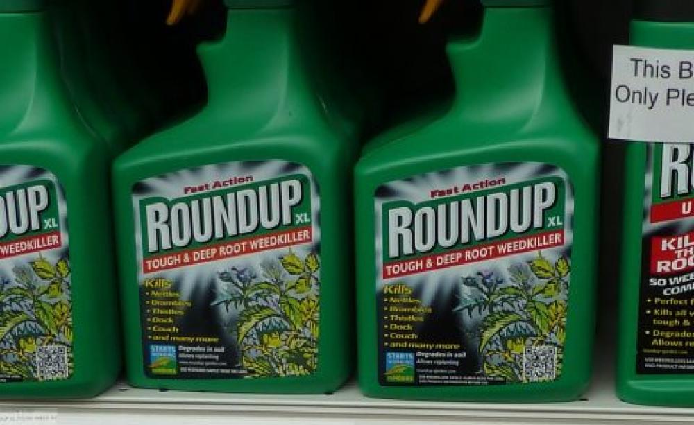 It's the RoundUp, stupid! Photo: London Permaculture via Flickr.