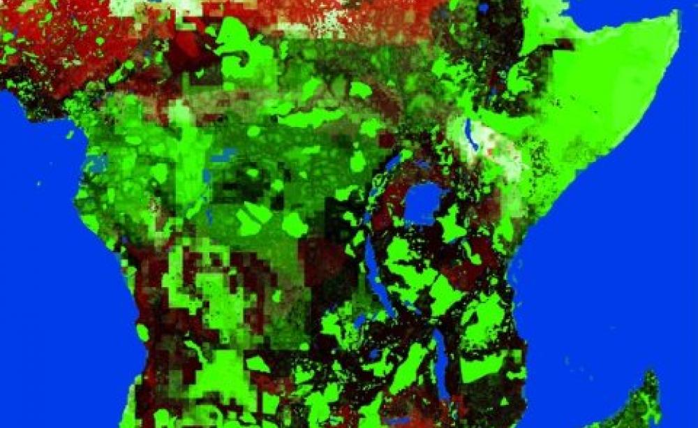 Road map detail - Central Africa. Image: Bill Laurance.