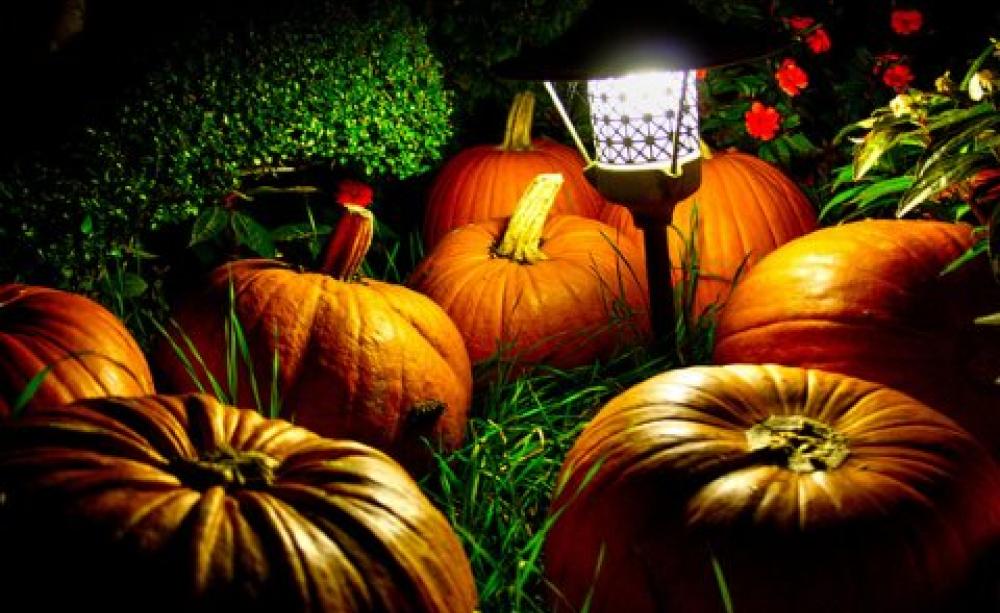 Glowing pumpkins of the night, our to eat, not just to fright. Photo: Andrea Verganic via Flickr.