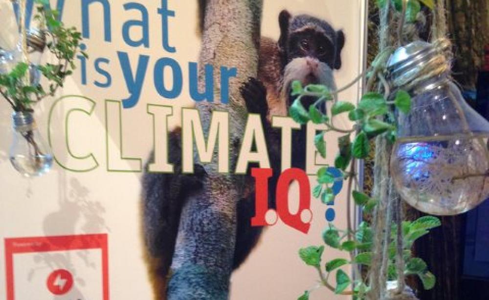 A booth at COP20 in Lima - where the collective IQ of negotiators has barely achieved double figures. Photo: Climate Change via Flickr.