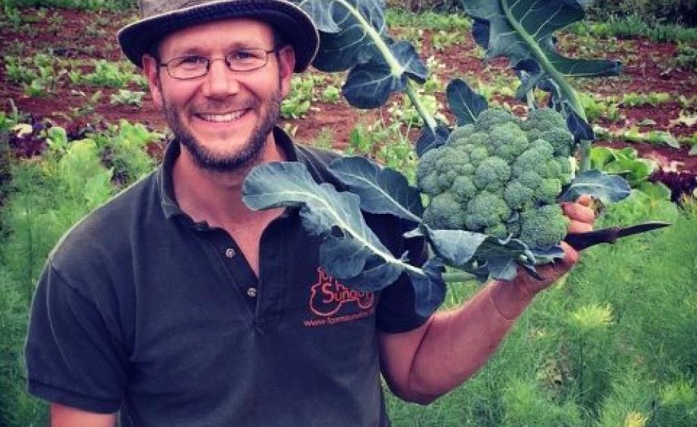 The future of farming is green, organic and healthy! Photo: Sandy Lane organic farm, Oxfordshire.